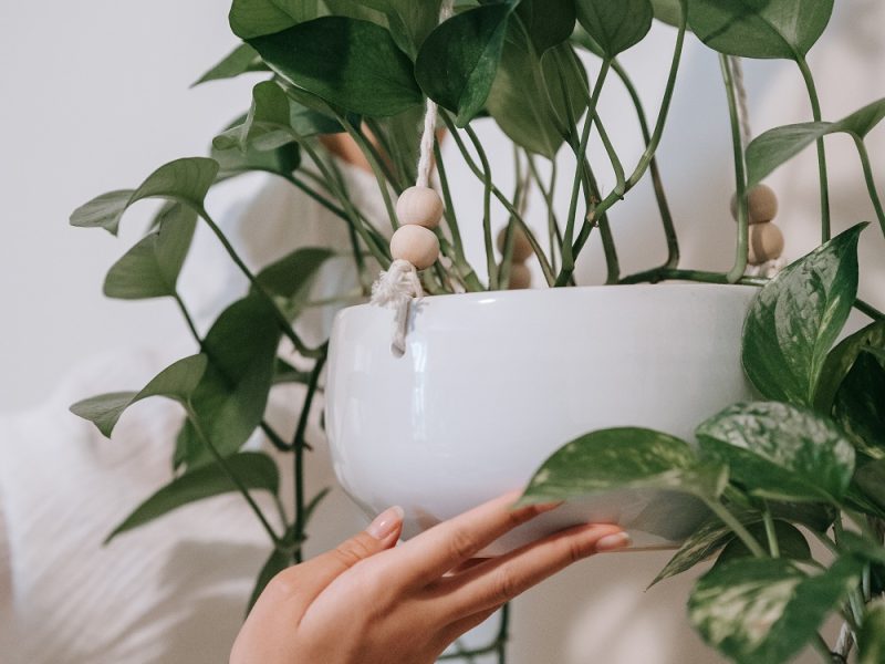 things-to-add-to-your-room-for-positivity (1)